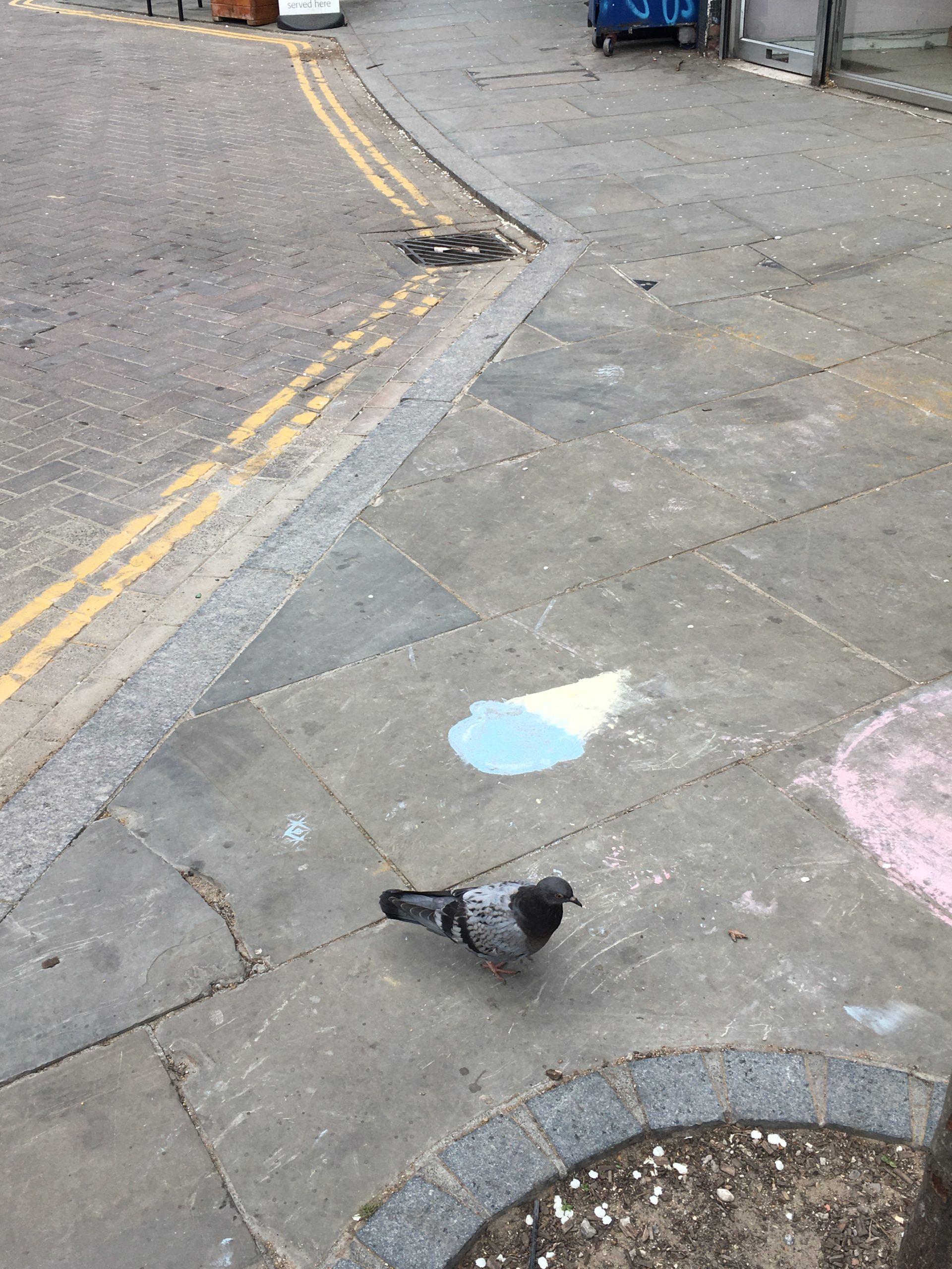 An ice cream chalked onto the pavement with a pigeon walking by in my neighbourhood