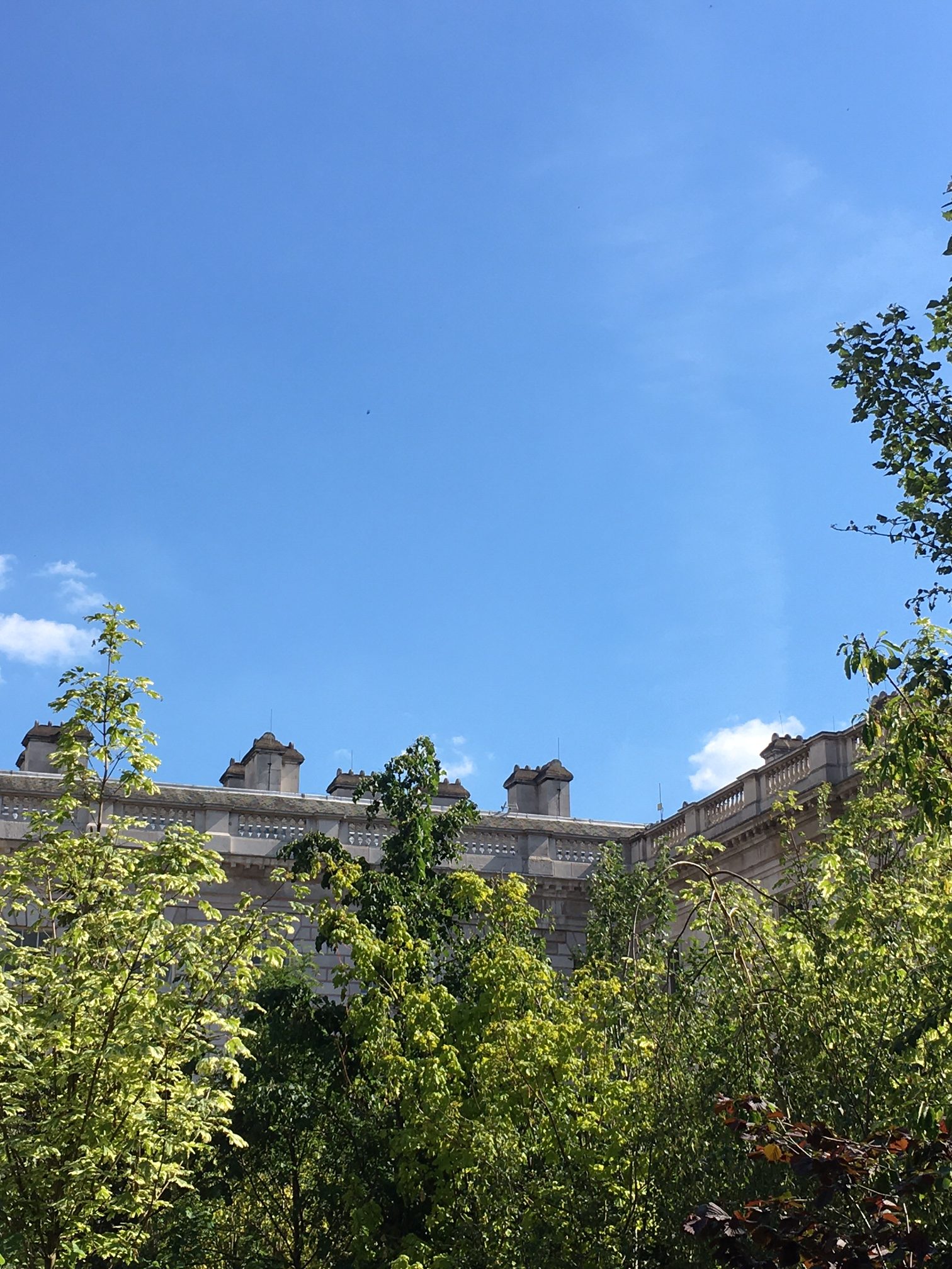 Somerset House and the Forest of Change