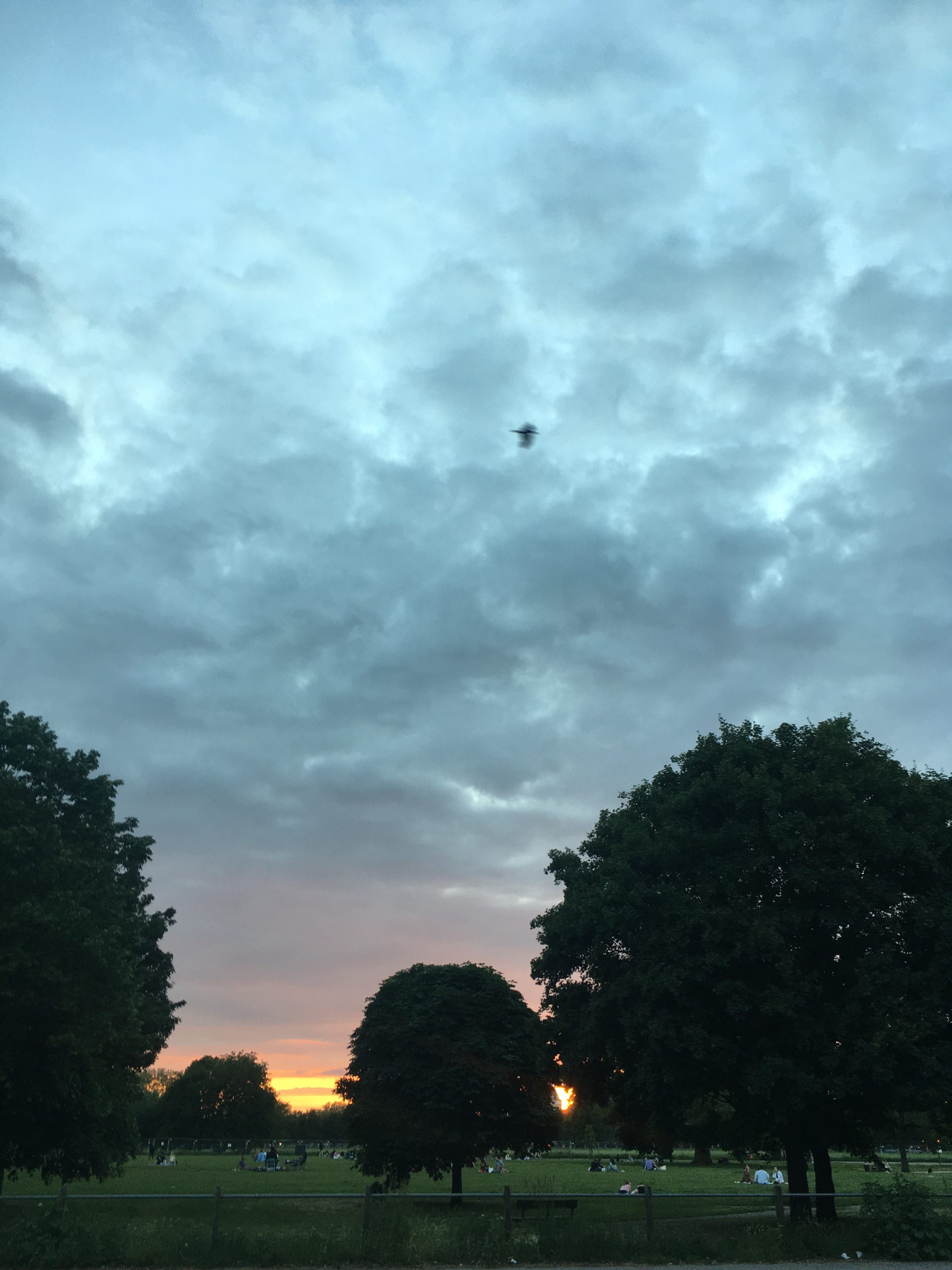 Sunset over Clapham Common