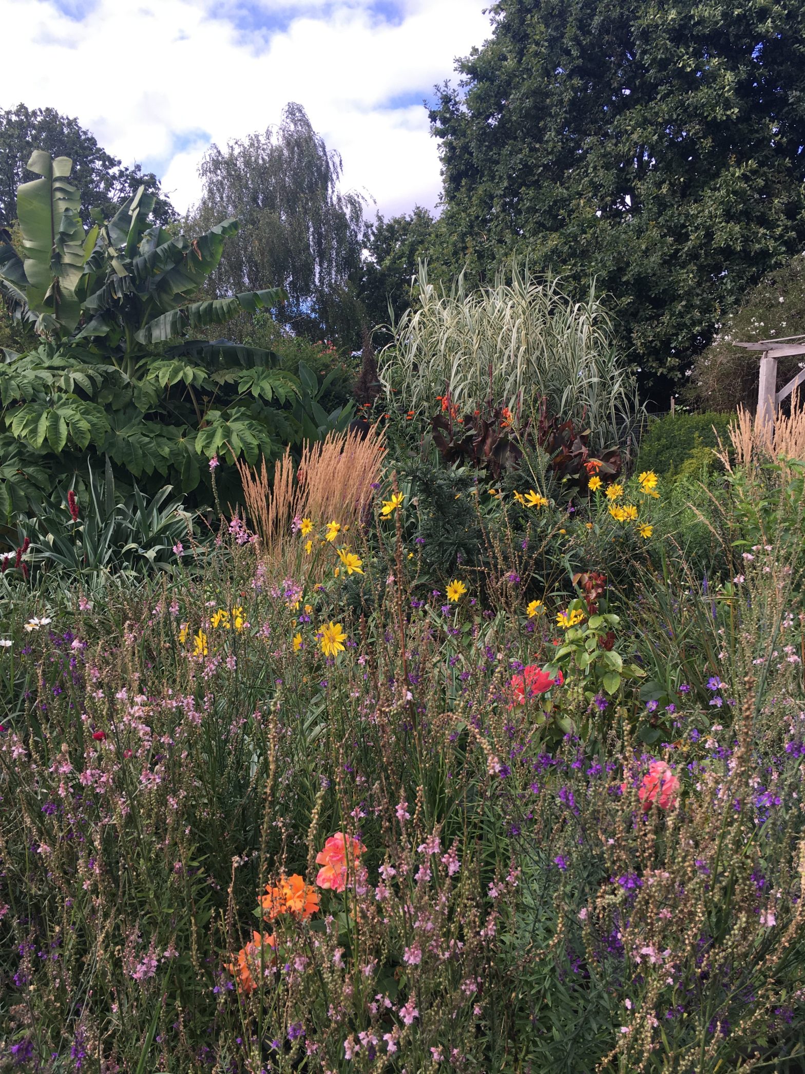 Walled garden in Brockley park